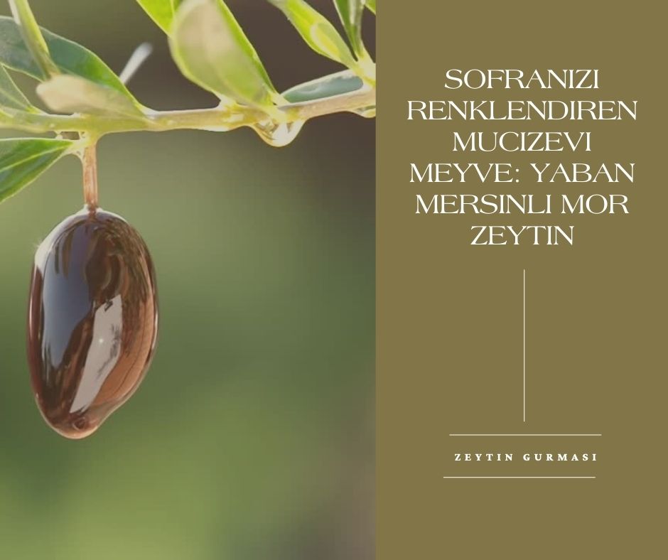 Sofranızı Renklendiren Mucizevi Meyve Yaban Mersinli Mor Zeytin